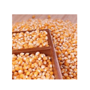 Yellow corn 20kg
